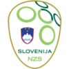 Nikola Komazec