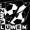 Zwaluwen